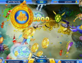 开元国际67ky2024最新版