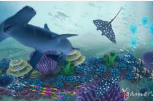 开元国际67ky2024最新版